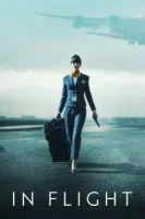 В полете