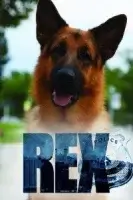 Хадсон и Рекс 8